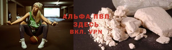 spice Каменногорск