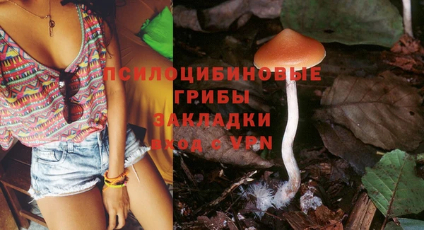 ПСИЛОЦИБИНОВЫЕ ГРИБЫ Каменск-Шахтинский