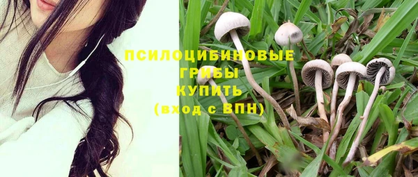 ПСИЛОЦИБИНОВЫЕ ГРИБЫ Каменск-Шахтинский