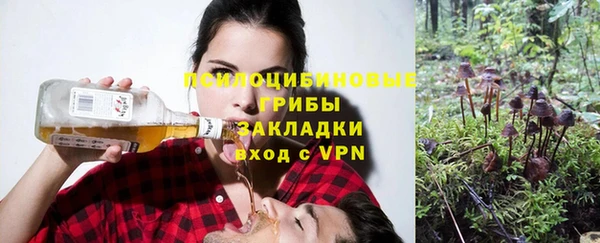ПСИЛОЦИБИНОВЫЕ ГРИБЫ Каменск-Шахтинский